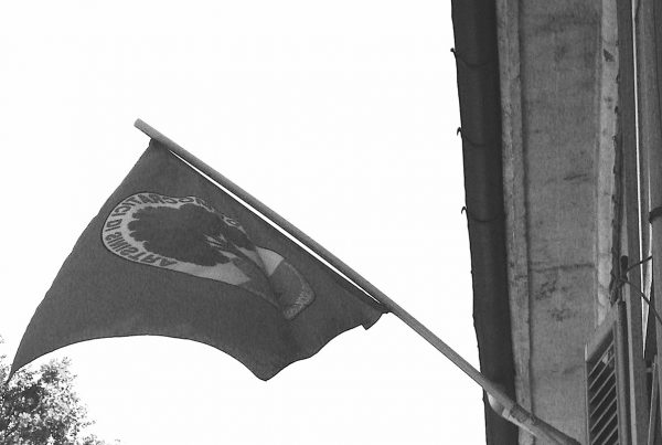 I DS e il Partito Democratico