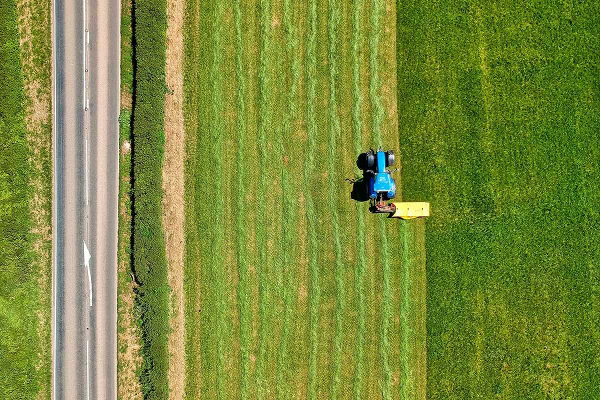 Tentativo di semplificazione della politica agricola comunitaria