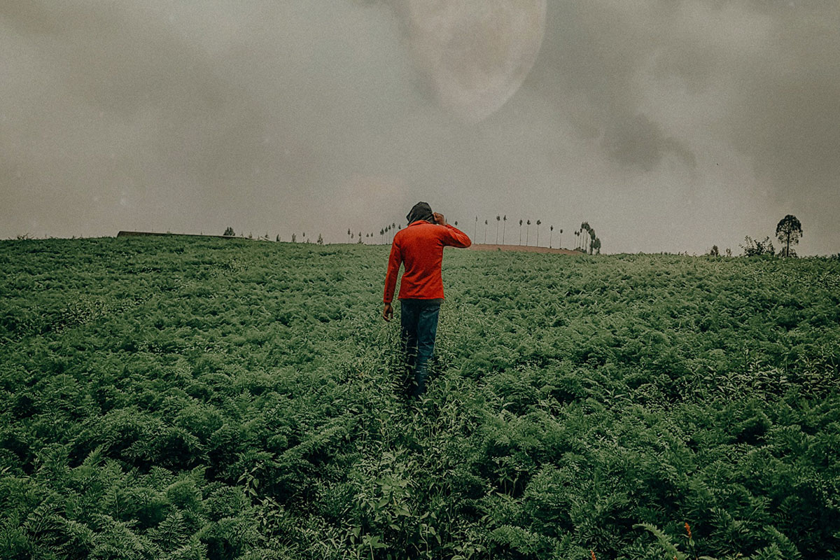 Southern: Daños ambientales, muertes y paro de agricultores