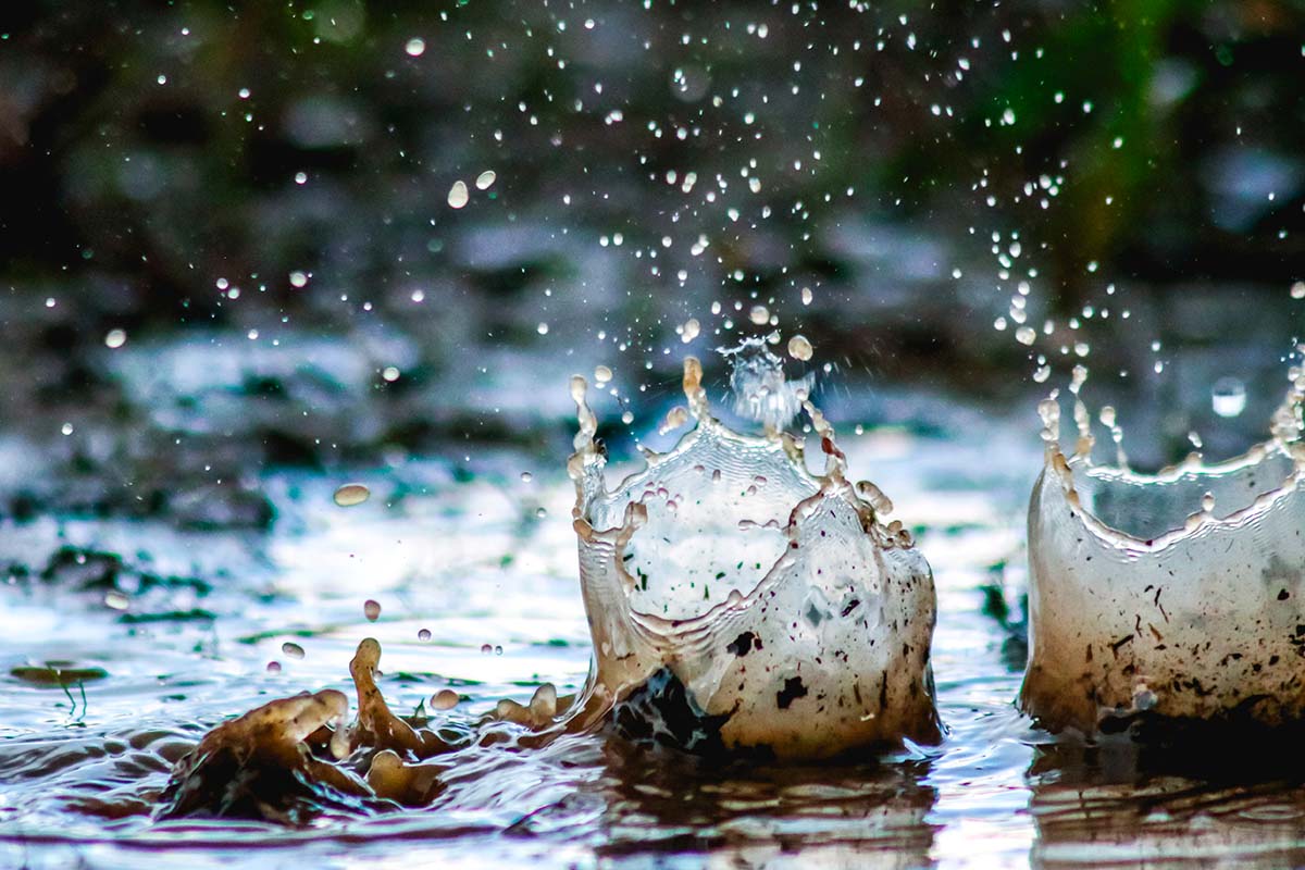 Gli “angeli del fango” in Emilia-Romagna - anteprima