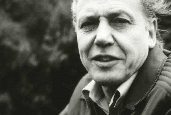 Cit Attenborough - immagine anteprima post
